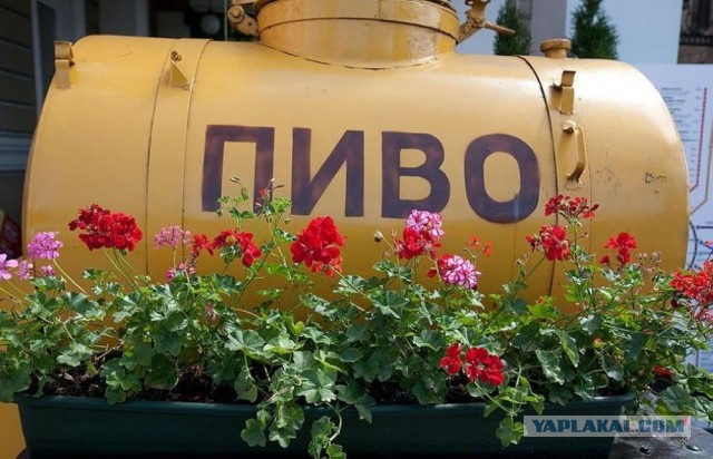 Пост накопления всякой милоты