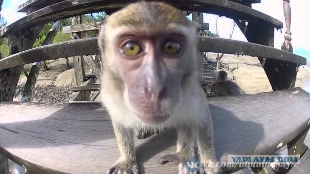 В Махачкале неизвестные напали на экипаж полиции