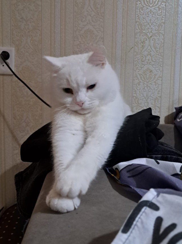 Раб дважды