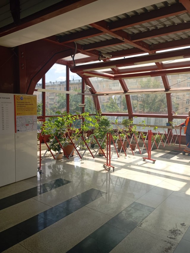 Прощальная поездка.