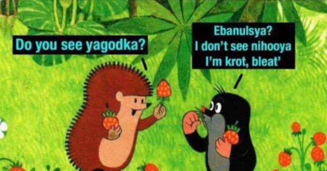 Ну и в чем он не прав?