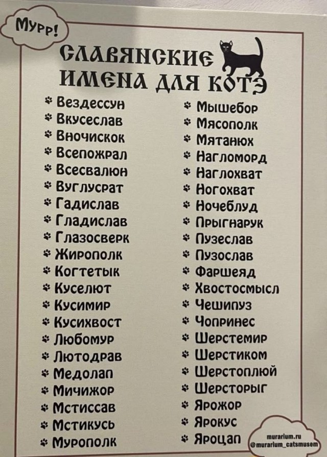 Помогите назвать кота.