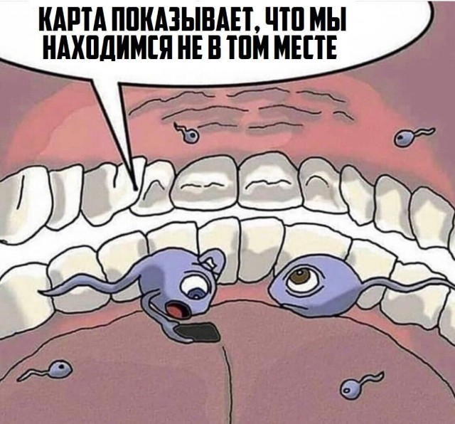 Немного мемчиков. Для взрослых. Часть 37