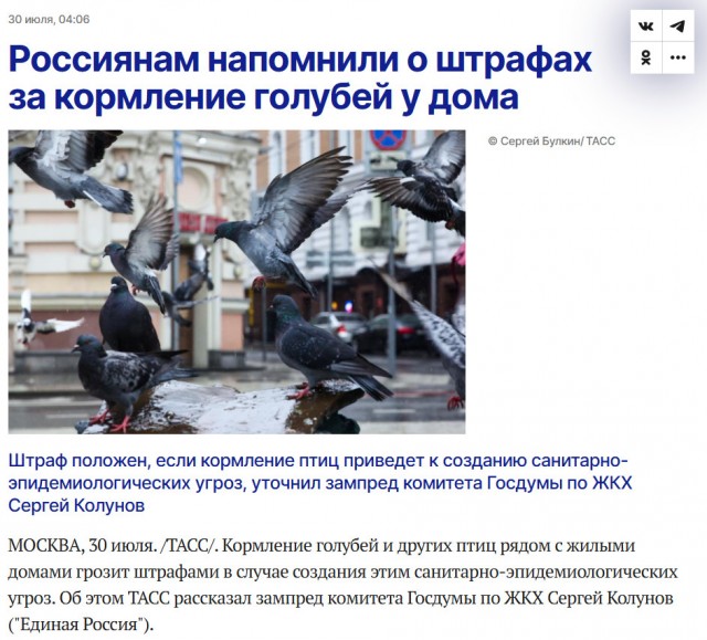 За кормление голубей на улице россиян будут штрафовать