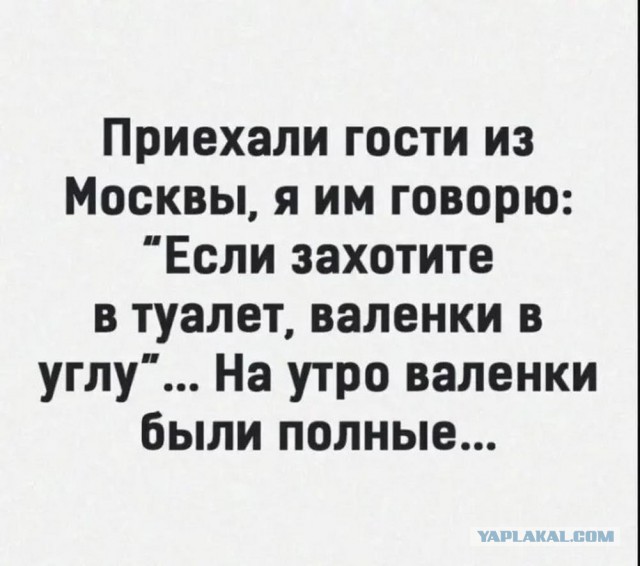 Картинки для деградации 89 (разной степени свежести)