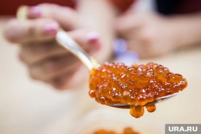 Тюменцы сыграют в «Игру в кальмара» за килограмм икры