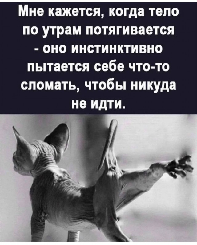 Чёрно белые картинки