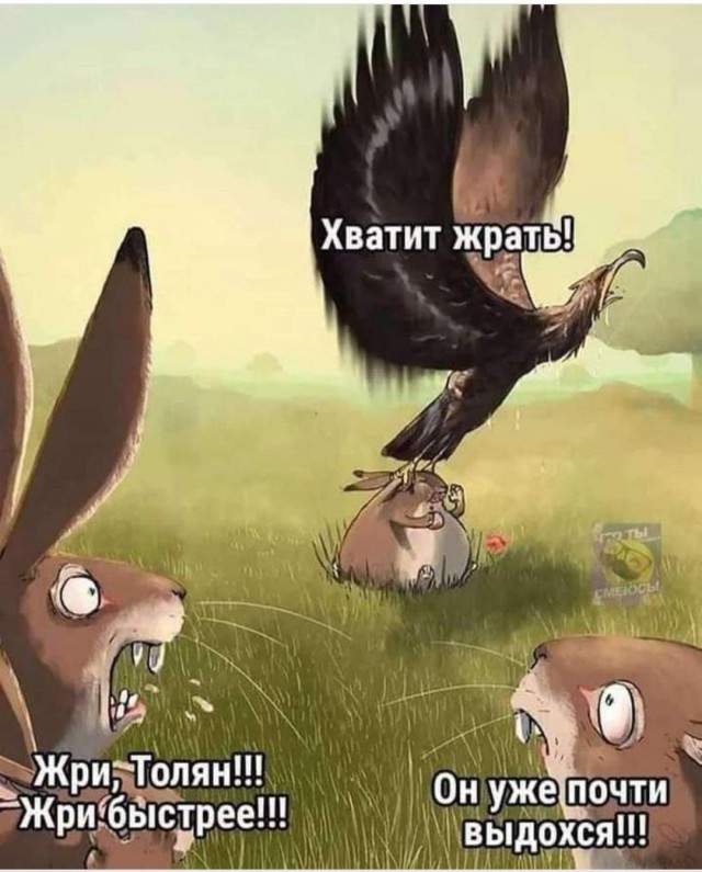 Орёл показывает зайцу зимнюю красоту