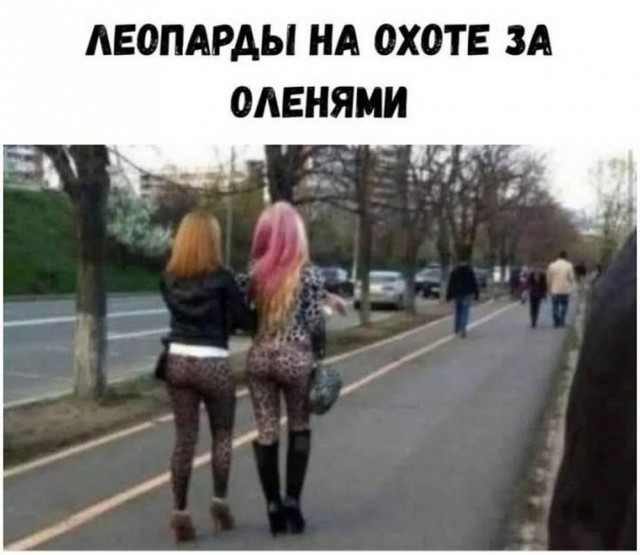 Забавные и не очень скромные картинки - 21