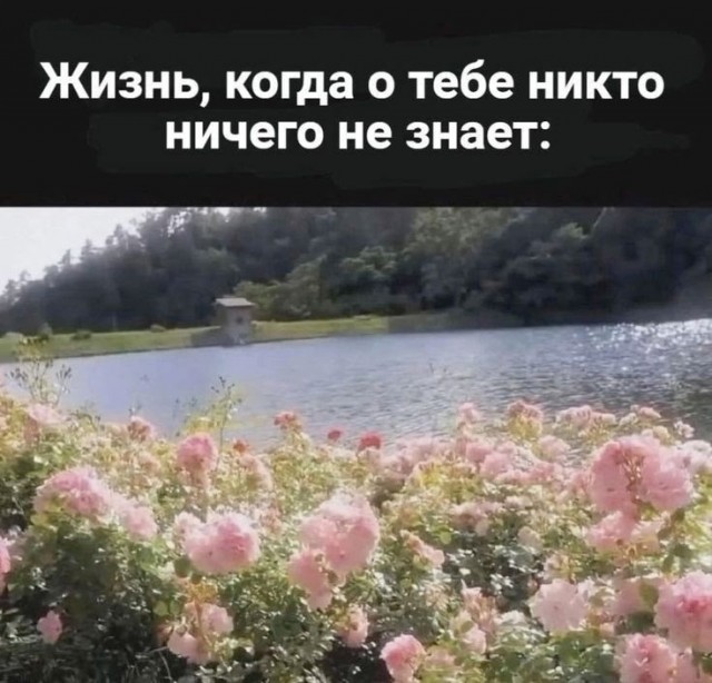 Пятницы картинки