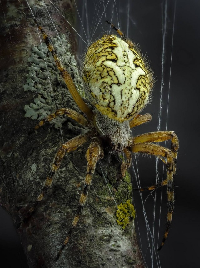 Картиночки на 15.01.2026