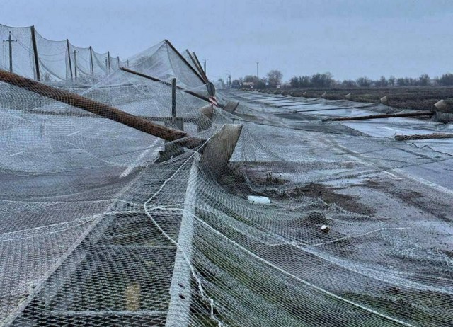 Сегодня дрон ВСУ  ударил по гражданской машине в Белгородской области.