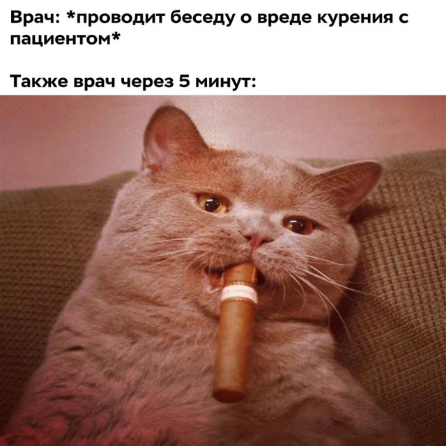 Картинки среды