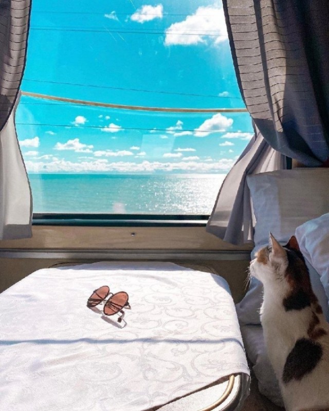 Картиночки на 18.02.2026