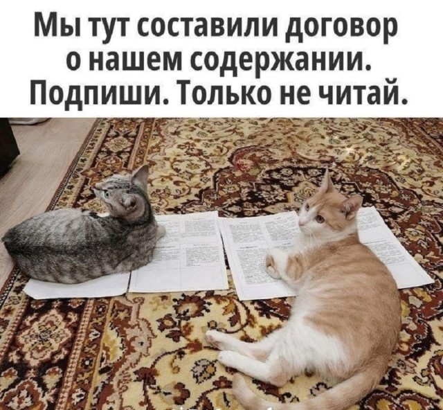 Так себе картинки 15.03.26