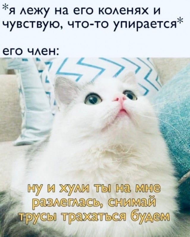 Забавные и не очень скромные картинки - 31