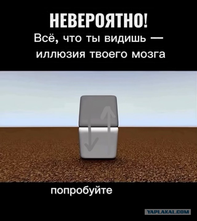 Иллюзия мозга