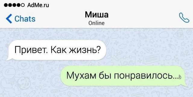Картинки для деградации 259 (разной степени свежести)