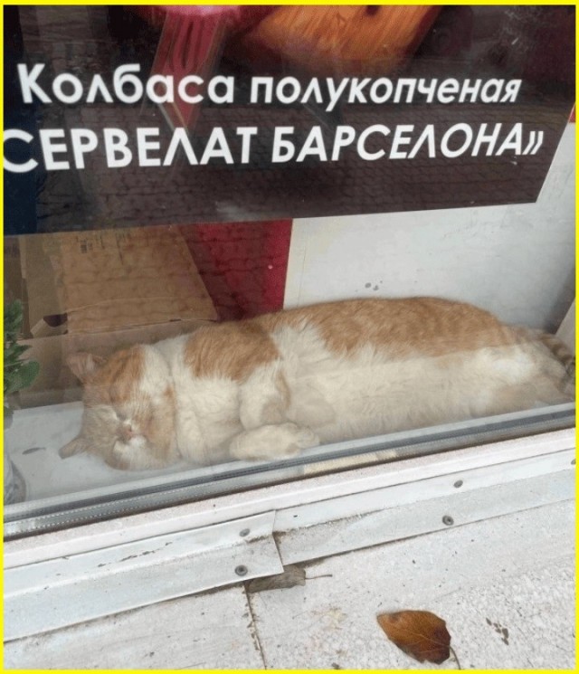 тРРРидцать тРРРи от 6 октября