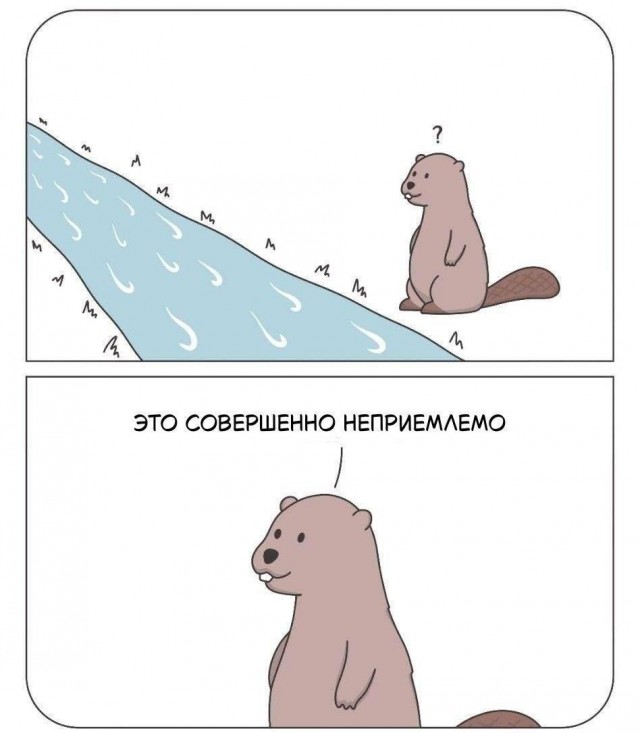 Картинки для деградации 307 (разной степени свежести)