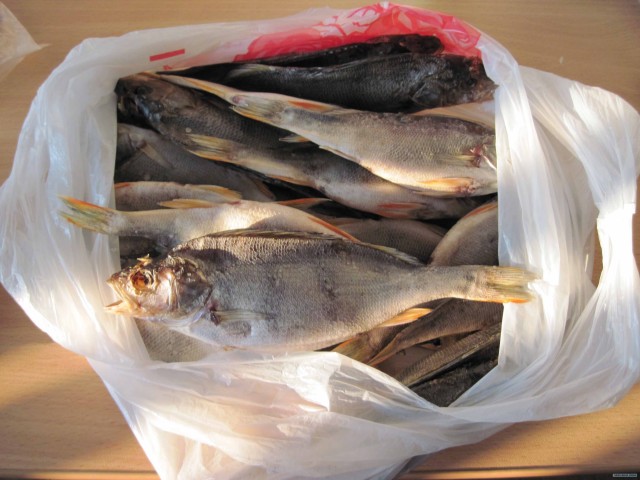 Всех с Пятницей! 16.04.2010