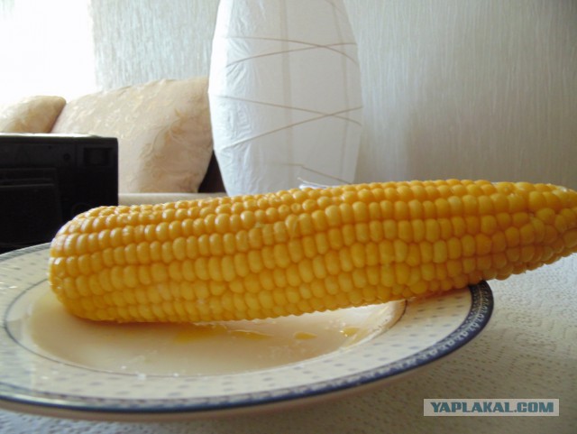 Кулинарная общалка