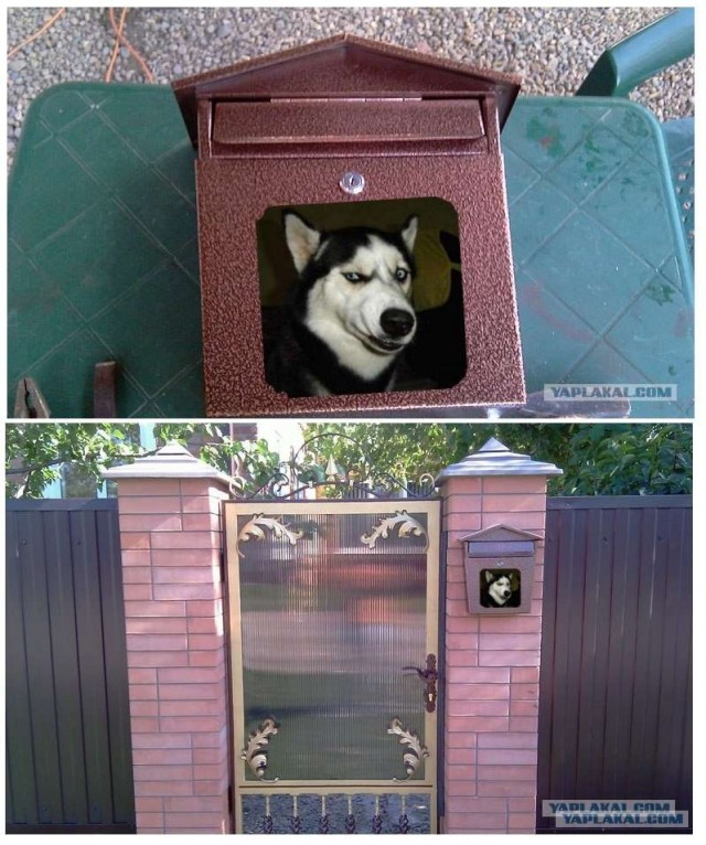 Почтовый ящик