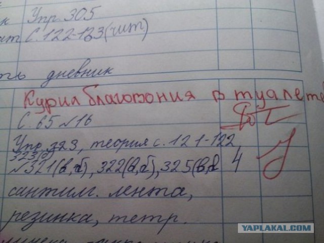 Весёлое из сети