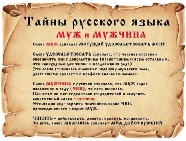 20 фактов обо всем