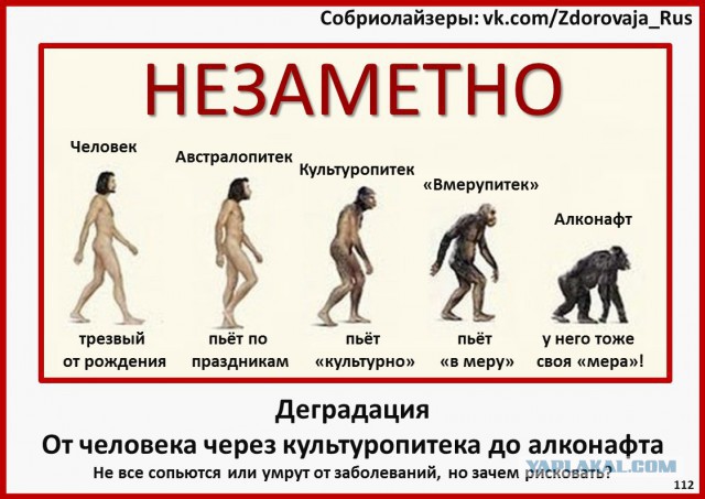 18 пятничных картинок!