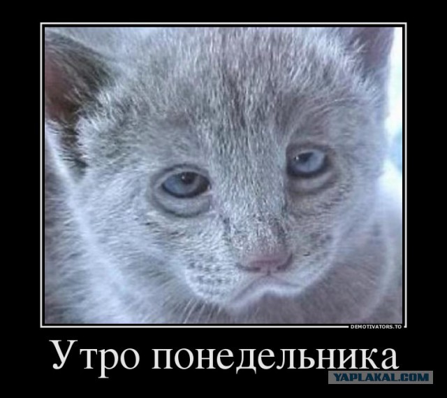Сово-понедельнег