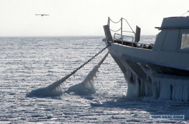 Черное море... замерзло!