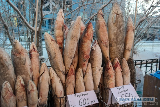 Вкуснейшие блюда российских регионов.