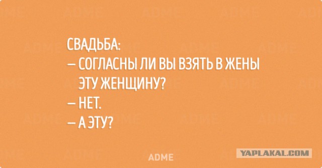 Картинки из интернета