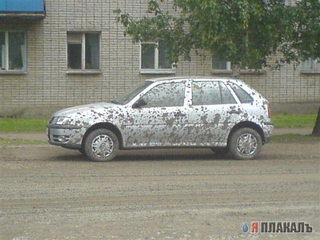 аааа.владелец сцыт кипятком