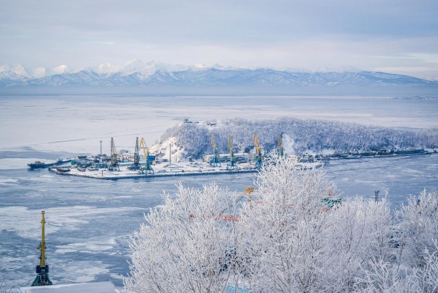 Подборка картинок 04.03.16