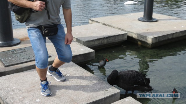 Флорида.Орландо.