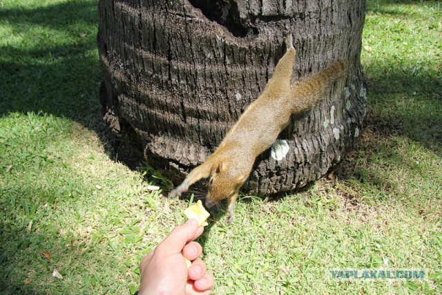 Крым готов к курортному сезону