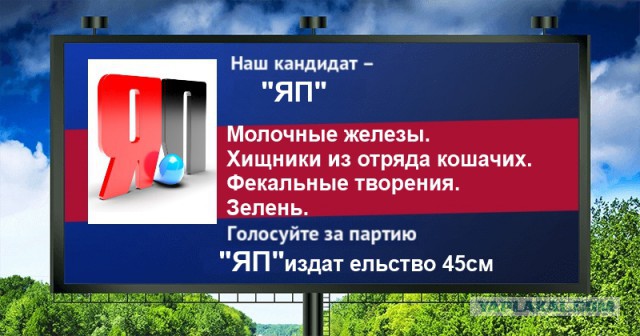 Стань кандидатом от ЯПа