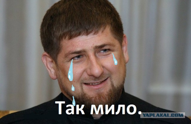 Фамилия моя слишком известная