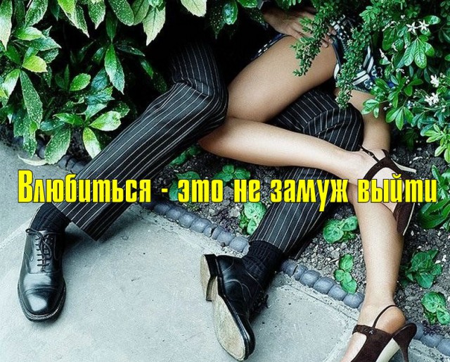Саркастическая подборка