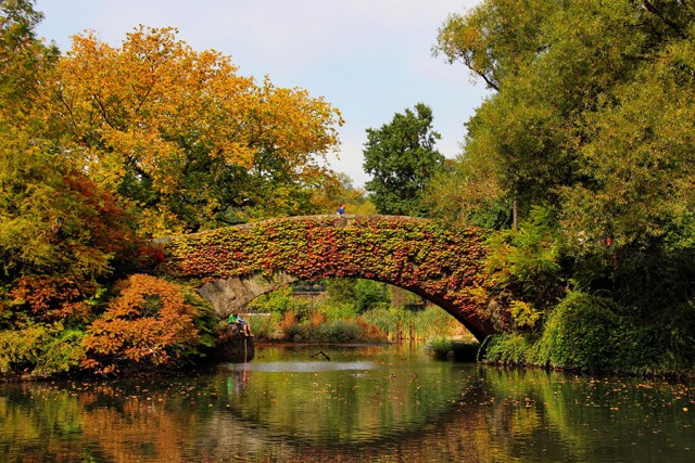 15 удивительных мостов, в которых застыли природа и время