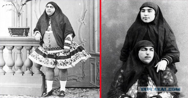 На каждого гейского гея в итоге найдутся свои прекрасные сиськи