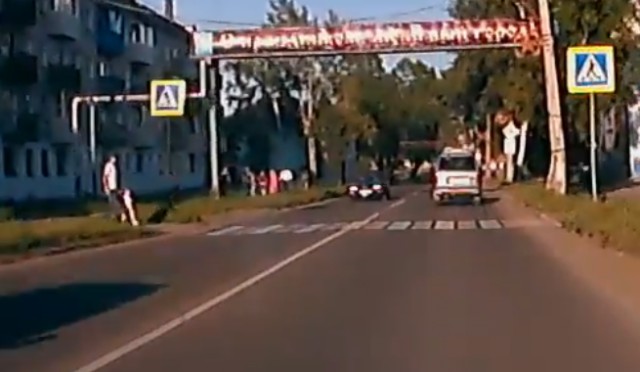 И резво пошагал под колеса...