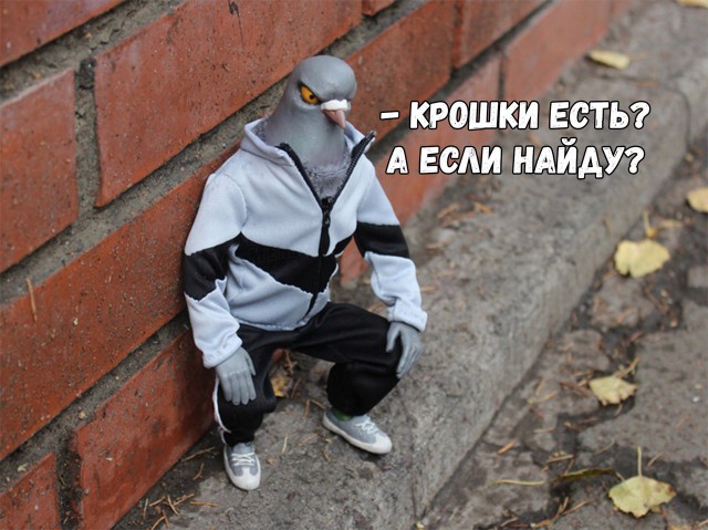 Картинки из интернетов