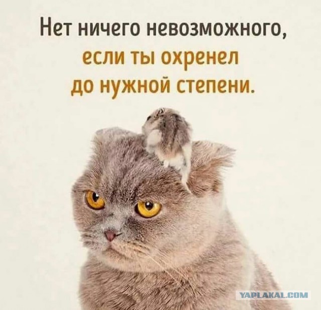 Политтехнологии Вестероса