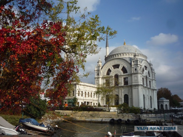 Лично мне не нужен берег турецкий