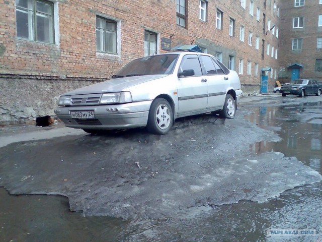 Подснежники гробы. г. Норильск