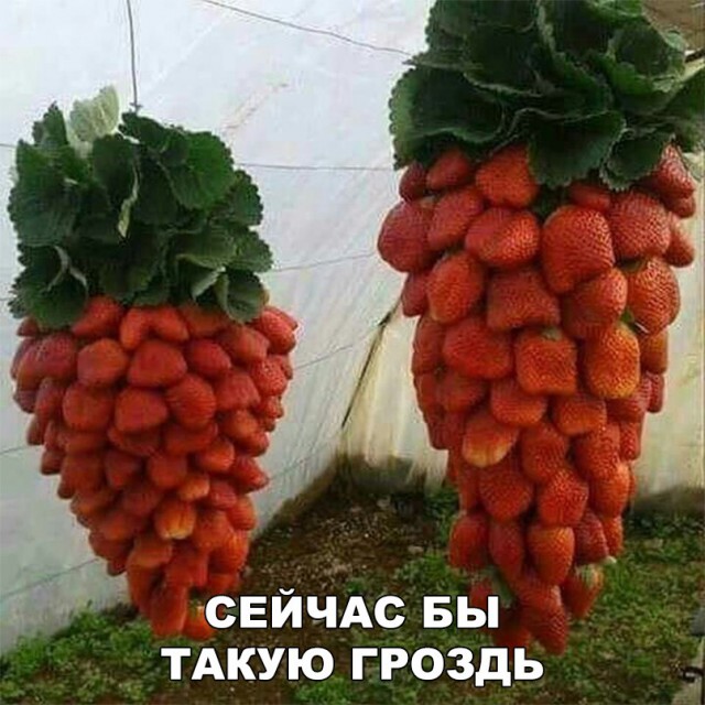 Прикольные картинки абавсём