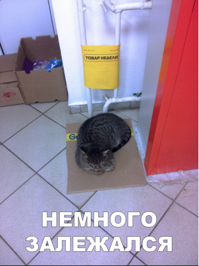 Нестандартный юмор